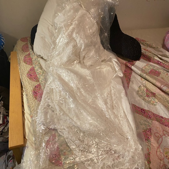 David's Bridal Beaded Lace Sheath Wedding Gown w/Embroidery Waist - Picture 3 of 11